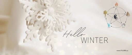 Deluxe Pre- Christmas Glow Treatment